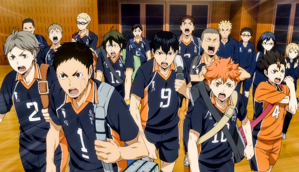 HAIKYUU rotated 1 - Beastars Store